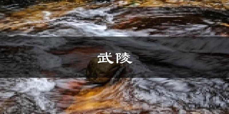 常德武陵天气预报未来一周