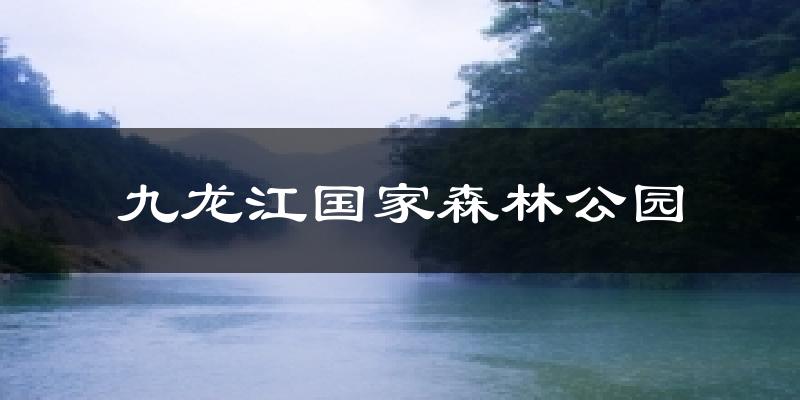 九龙江国家森林公园气温