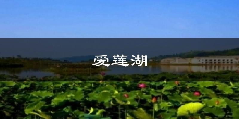 爱莲湖气温