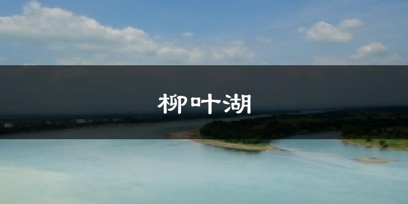 柳叶湖气温