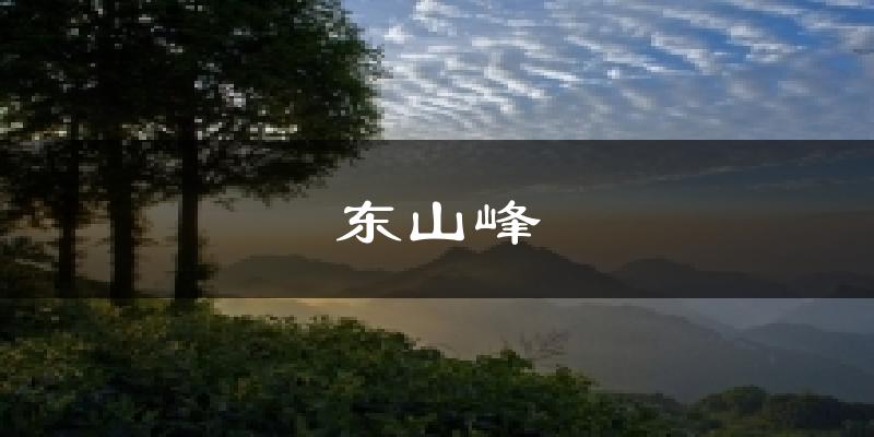 东山峰气温