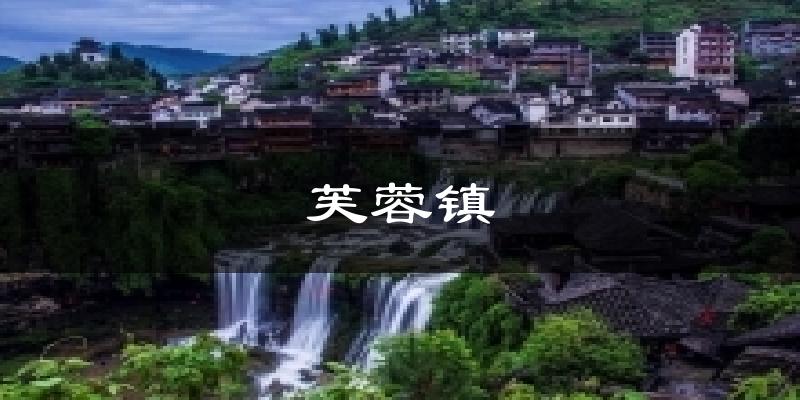 芙蓉镇今日天气