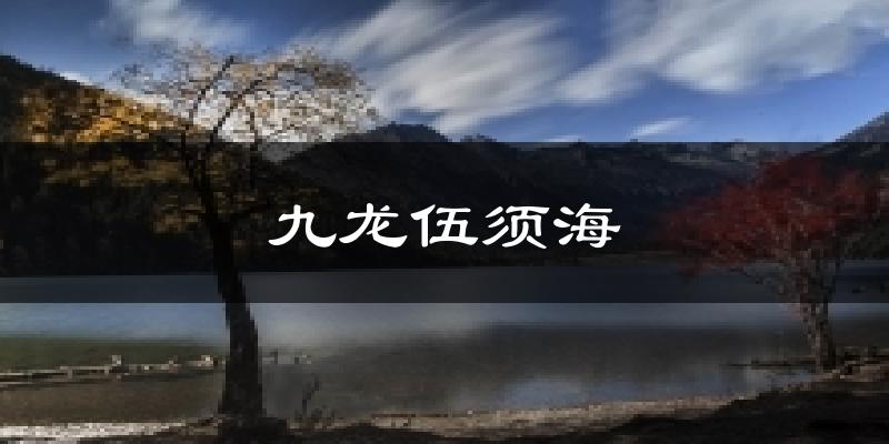 九龙伍须海气温