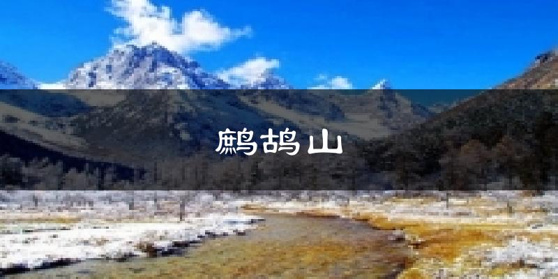 鹧鸪山气温