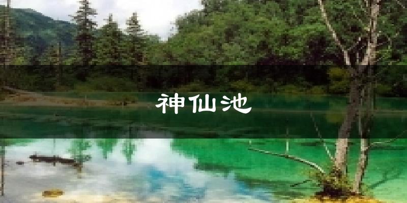 神仙池气温
