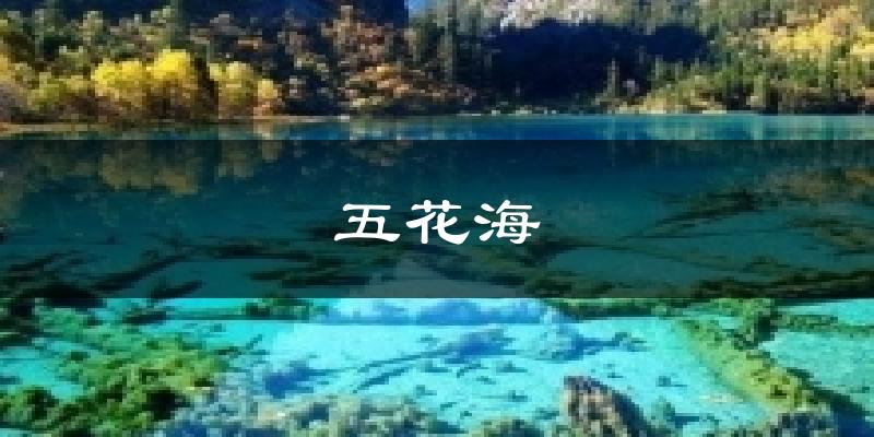 五花海气温