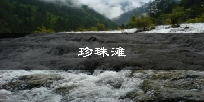 珍珠滩气温
