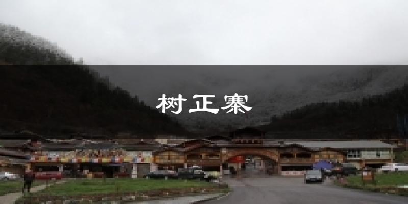 树正寨气温