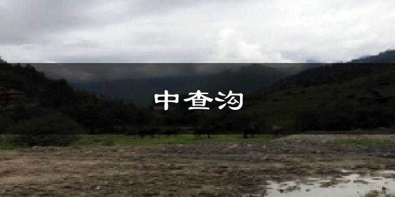 中查沟气温