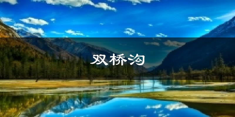 双桥沟今日天气