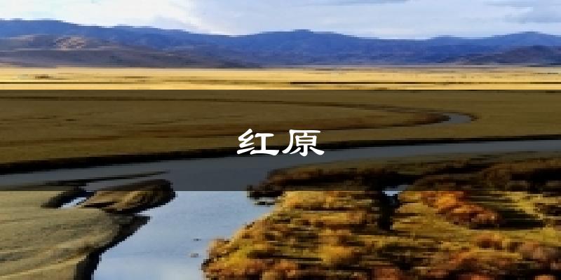 红原气温