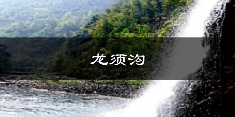 龙须沟今日天气