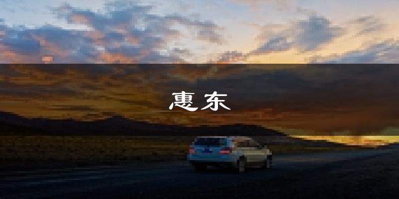 惠东天气预报未来一周