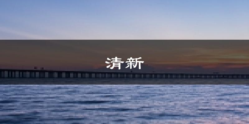 清远清新天气预报未来一周