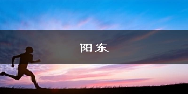 阳江阳东天气预报未来一周