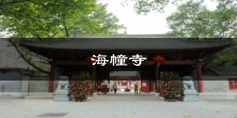 海幢寺气温