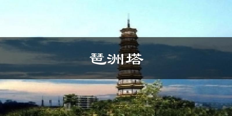 琶洲塔气温