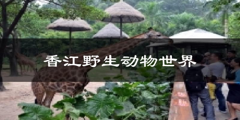 香江野生动物世界气温