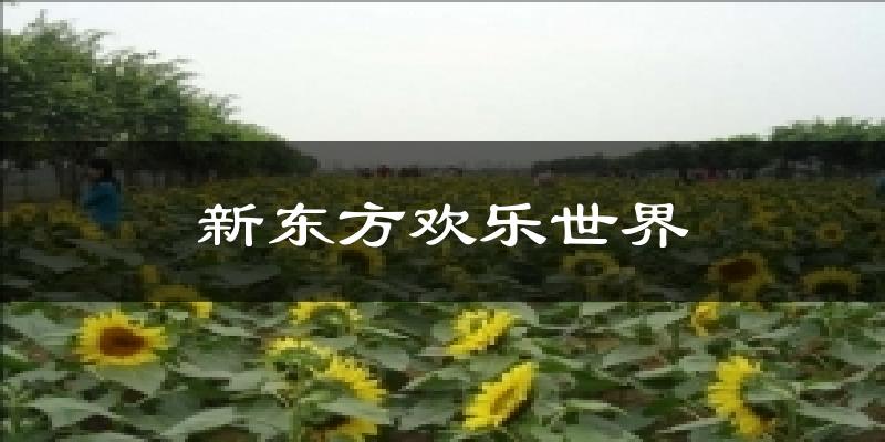 新东方欢乐世界气温