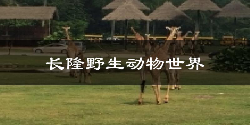 长隆野生动物世界气温