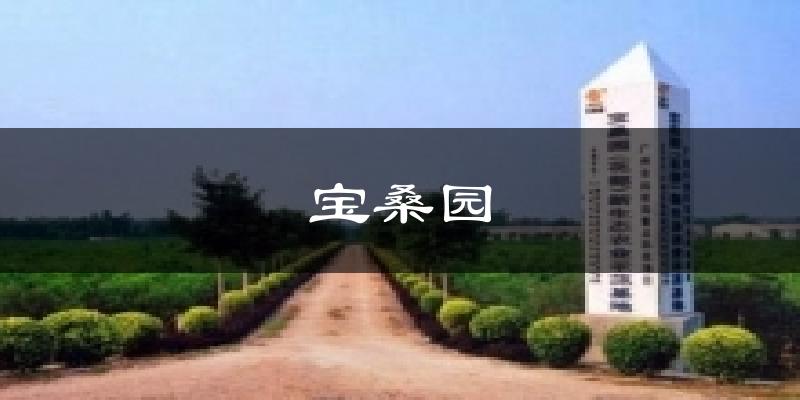 宝桑园今日天气
