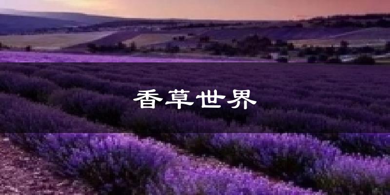 香草世界气温