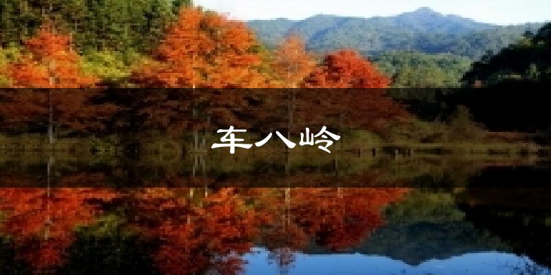车八岭今日天气