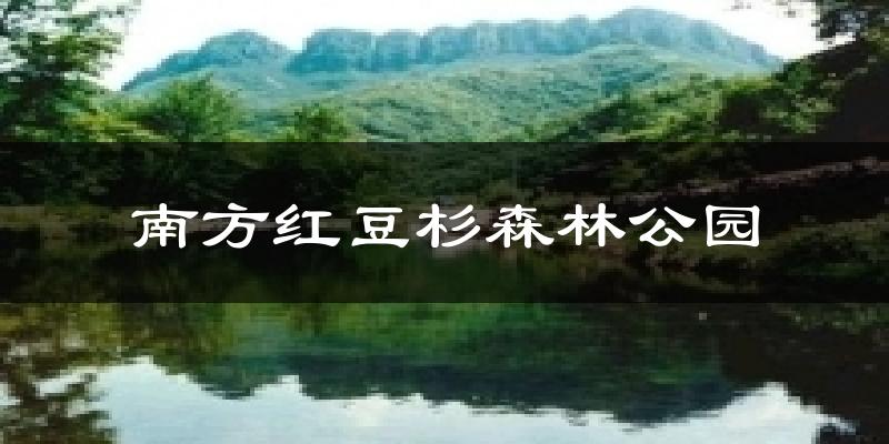 南方红豆杉森林公园今日天气