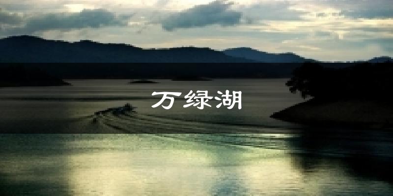 万绿湖今日天气