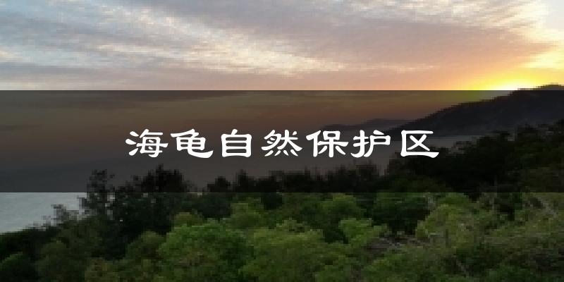 海龟自然保护区气温