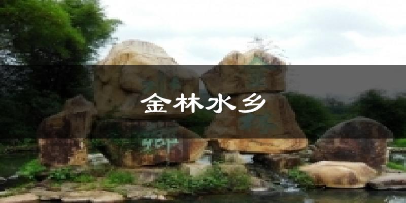 金林水乡气温