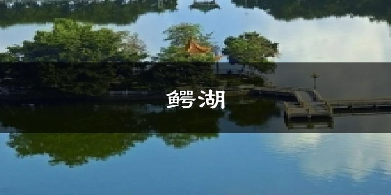 鳄湖气温