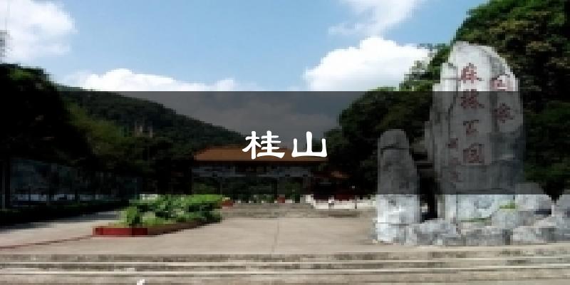 桂山今日天气
