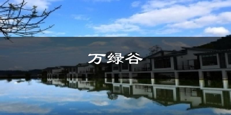 万绿谷今日天气