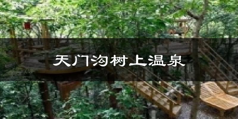 天门沟树上温泉气温