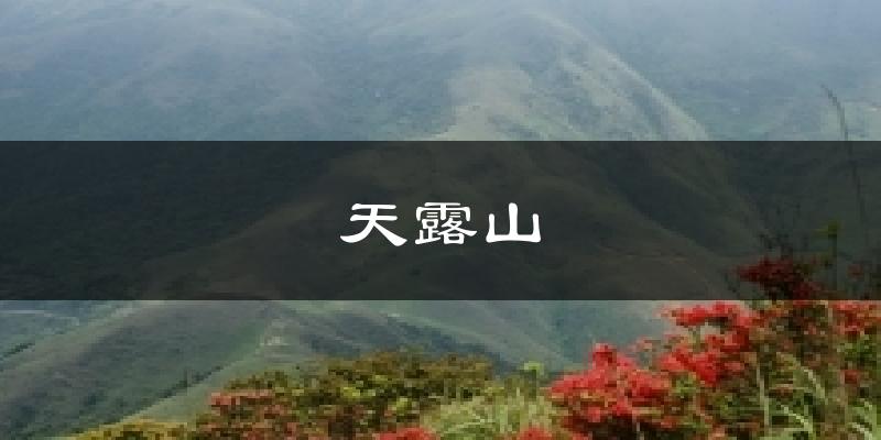 天露山气温