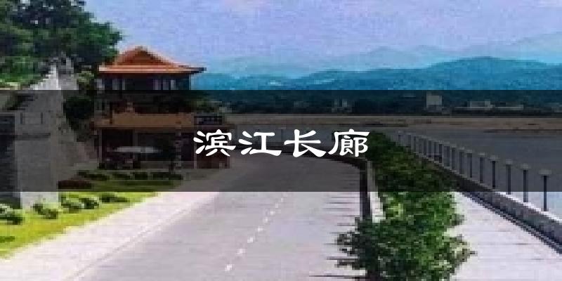 滨江长廊气温