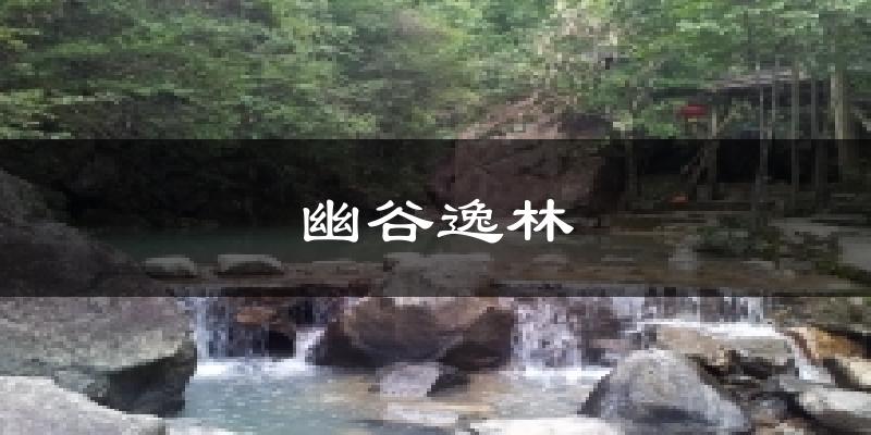 幽谷逸林今日天气