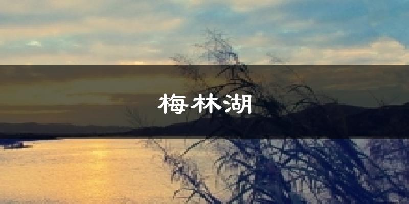 梅林湖今日天气