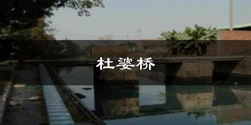 杜婆桥气温