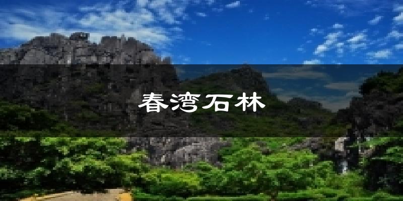 春湾石林气温