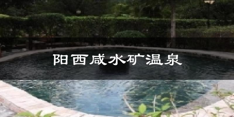 阳西咸水矿温泉气温