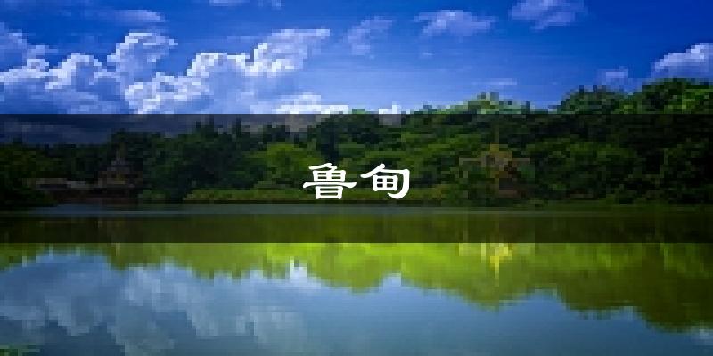 鲁甸天气预报未来一周