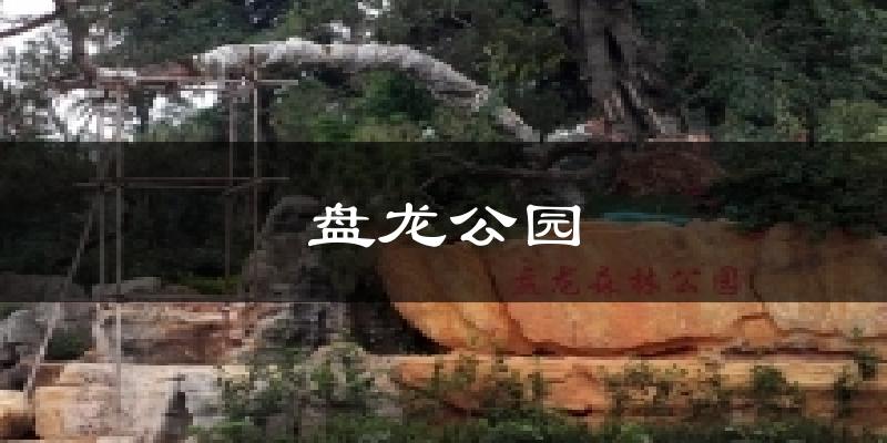 文山盘龙公园天气预报未来一周