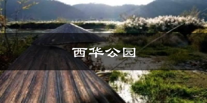 西华公园今日天气