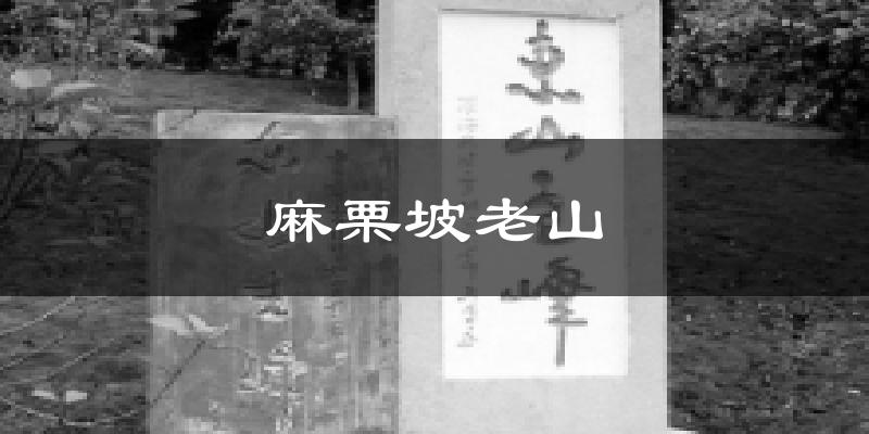 麻栗坡老山今日天气