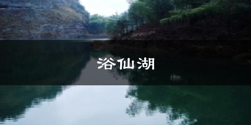 浴仙湖今日天气