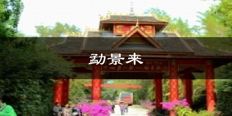 勐景来气温