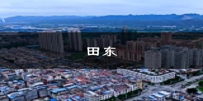田东天气预报未来一周