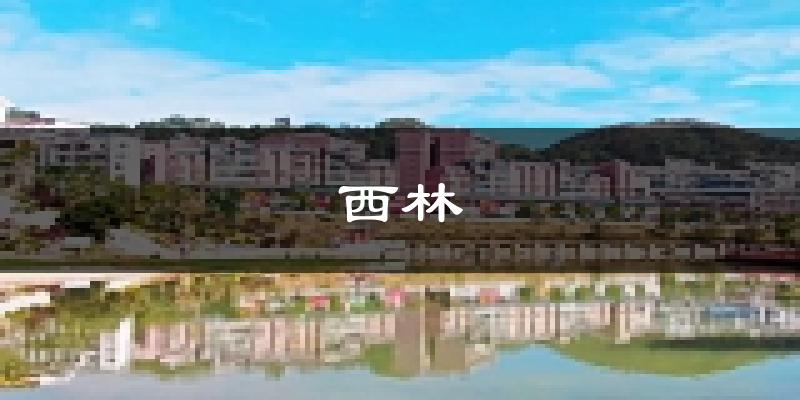 西林天气预报未来一周
